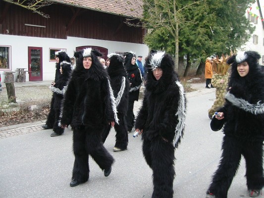 ../Images/2004-02-15_Umzug-Bodman_026.jpg