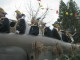 Thumbs/tn_2004-02-15_Umzug-Bodman_043.jpg