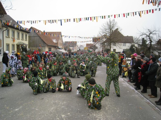 ../Images/2011-01-30_Narrenumzug-Orsingen_049.jpg