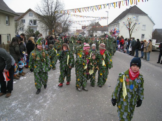 ../Images/2011-01-30_Narrenumzug-Orsingen_052.jpg