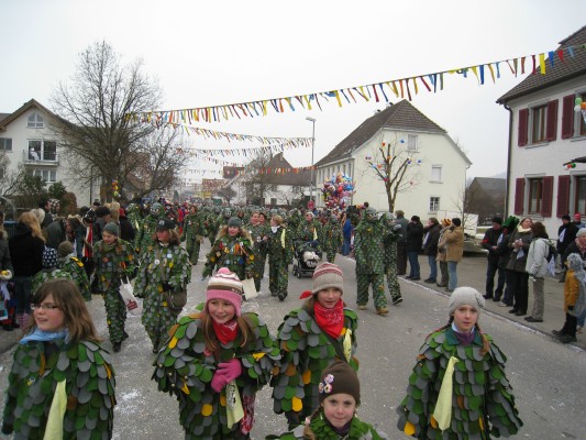 ../Images/2011-01-30_Narrenumzug-Orsingen_053.jpg