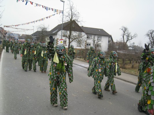 ../Images/2011-01-30_Narrenumzug-Orsingen_073.jpg