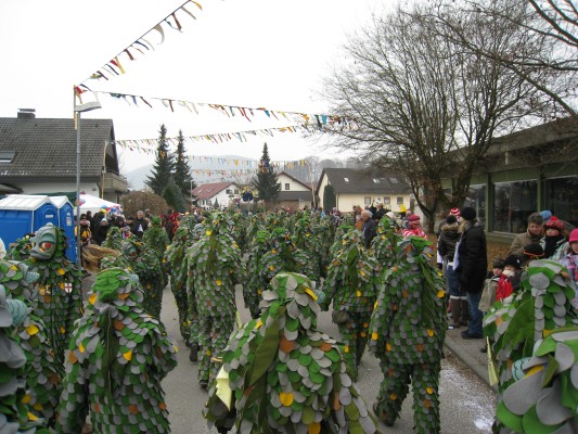 ../Images/2011-01-30_Narrenumzug-Orsingen_074.jpg