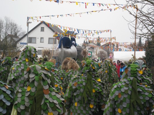 ../Images/2011-01-30_Narrenumzug-Orsingen_083.jpg