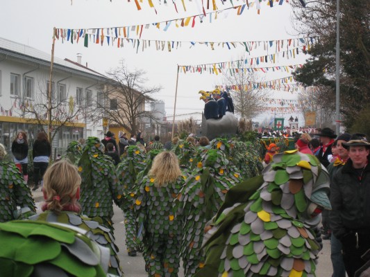 ../Images/2011-01-30_Narrenumzug-Orsingen_095.jpg