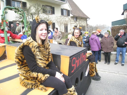 ../Images/2011-03-06_Fasnachtssonntag_138.jpg