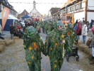 Thumbs/tn_2012-02-05_Grundele--Narrentag-Bermatingen_068.jpg