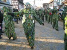 Thumbs/tn_2012-02-05_Grundele--Narrentag-Bermatingen_080.jpg