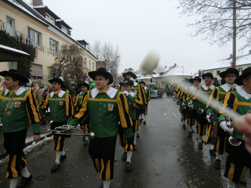 ../Images/2013-01-20_Narrentreffen-Froschen-Radolfzell_017.jpg