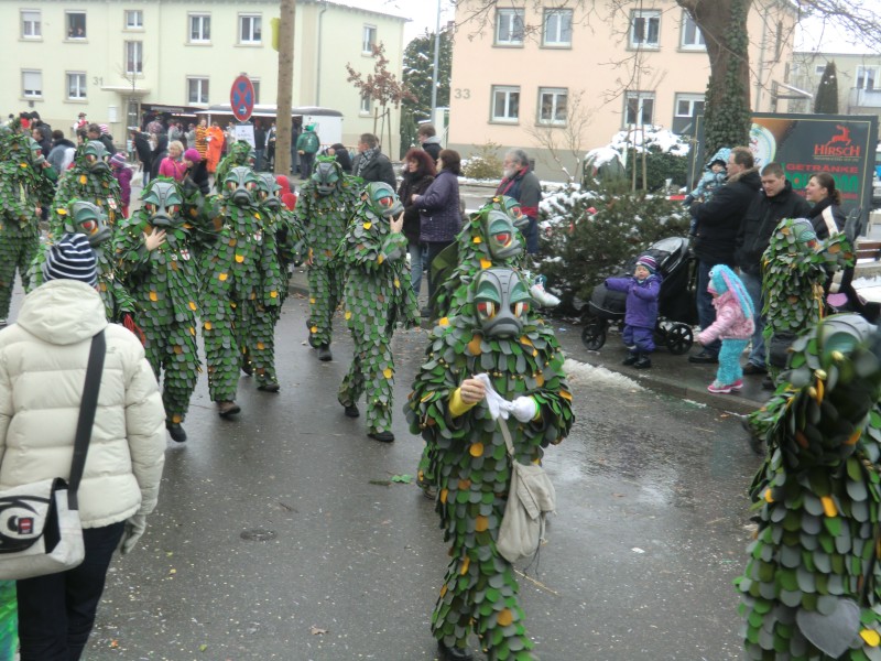 ../Images/2013-01-20_Narrentreffen-Froschen-Radolfzell_028.jpg
