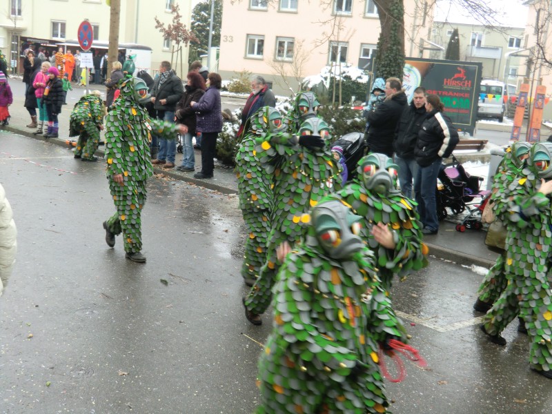 ../Images/2013-01-20_Narrentreffen-Froschen-Radolfzell_029.jpg