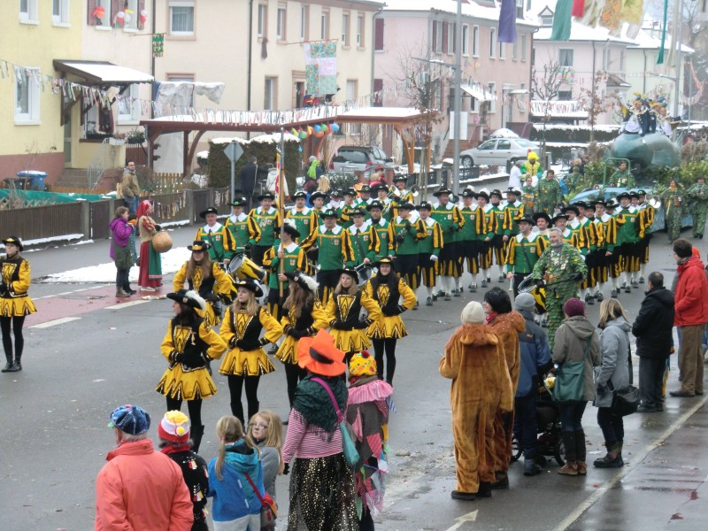 ../Images/2013-01-20_Narrentreffen-Froschen-Radolfzell_053.jpg