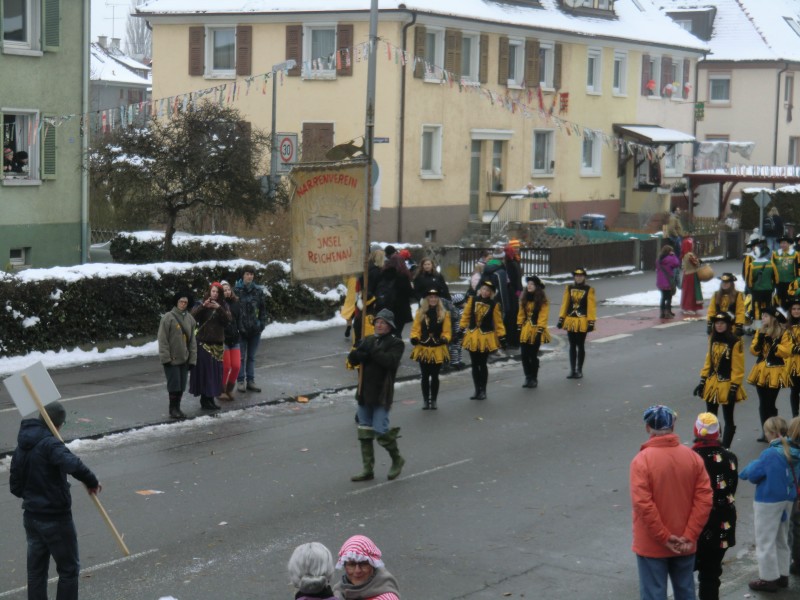 ../Images/2013-01-20_Narrentreffen-Froschen-Radolfzell_054.jpg