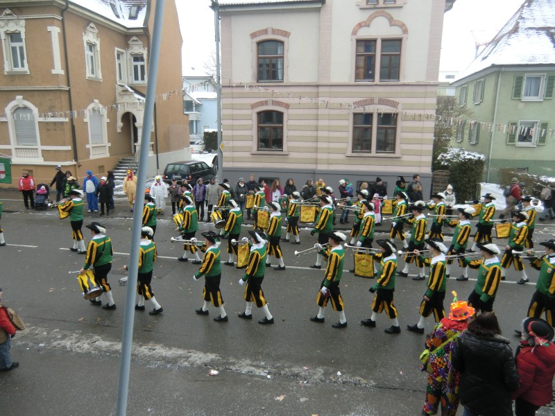 ../Images/2013-01-20_Narrentreffen-Froschen-Radolfzell_063.jpg