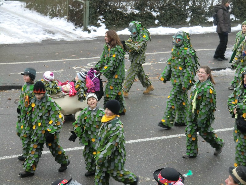 ../Images/2013-01-20_Narrentreffen-Froschen-Radolfzell_070.jpg