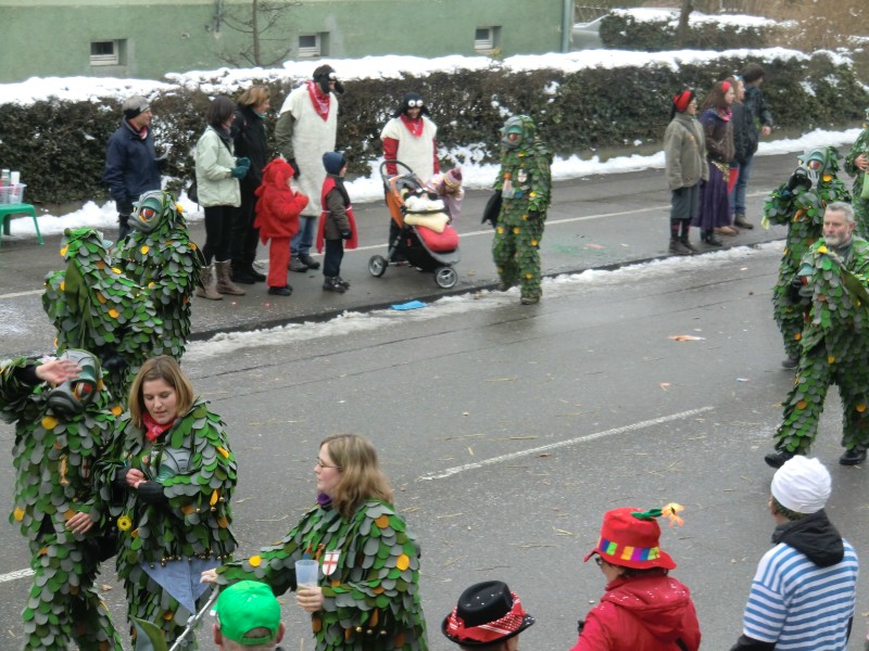 ../Images/2013-01-20_Narrentreffen-Froschen-Radolfzell_074.jpg