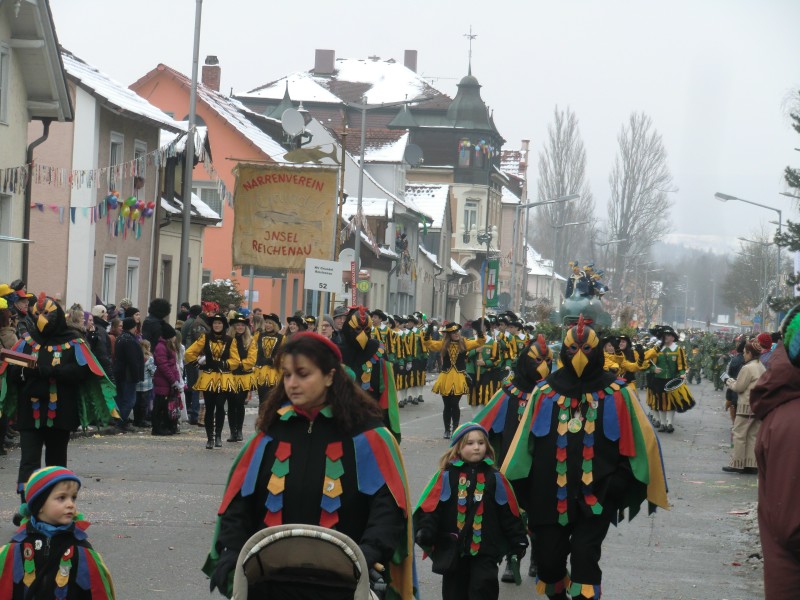 ../Images/2013-01-20_Narrentreffen-Froschen-Radolfzell_078.jpg