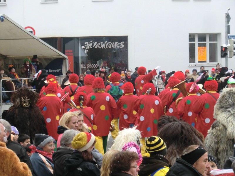 ../Images/2013-01-20_Narrentreffen-Froschen-Radolfzell_083.jpg