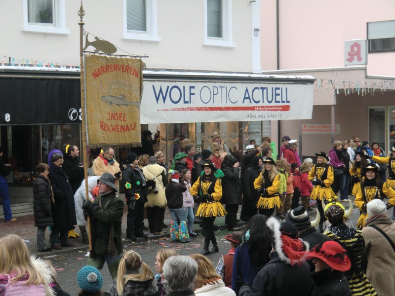../Images/2013-01-20_Narrentreffen-Froschen-Radolfzell_090.jpg