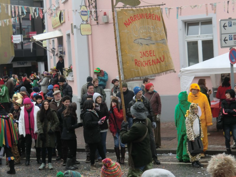 ../Images/2013-01-20_Narrentreffen-Froschen-Radolfzell_092.jpg