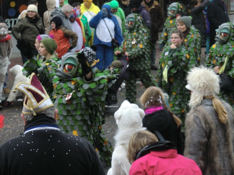 ../Images/2013-01-20_Narrentreffen-Froschen-Radolfzell_105.jpg