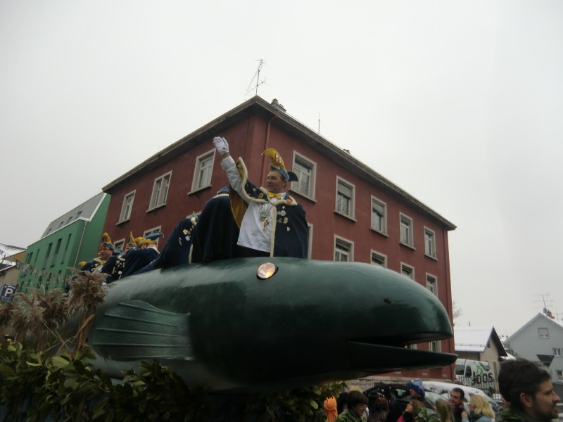 ../Images/2013-01-20_Narrentreffen-Froschen-Radolfzell_125.jpg