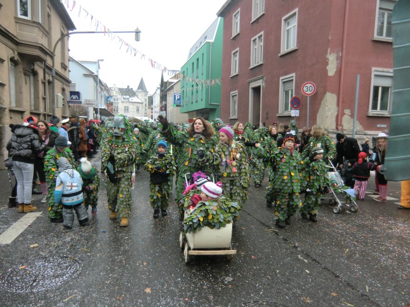../Images/2013-01-20_Narrentreffen-Froschen-Radolfzell_129.jpg