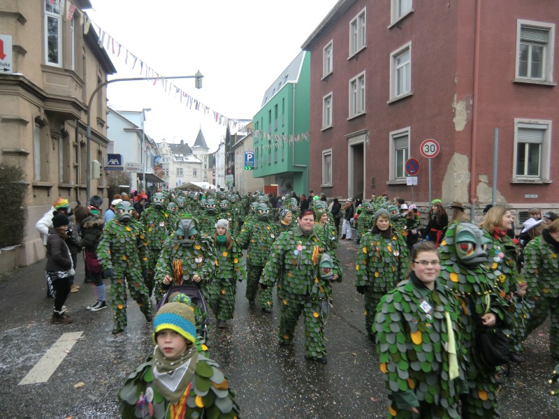 ../Images/2013-01-20_Narrentreffen-Froschen-Radolfzell_131.jpg
