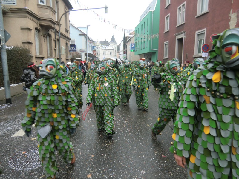 ../Images/2013-01-20_Narrentreffen-Froschen-Radolfzell_137.jpg