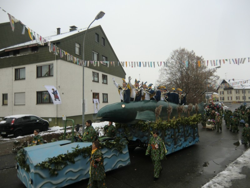 ../Images/2013-01-20_Narrentreffen-Froschen-Radolfzell_158.jpg