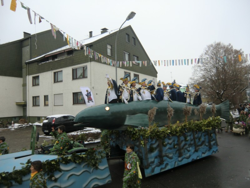 ../Images/2013-01-20_Narrentreffen-Froschen-Radolfzell_159.jpg