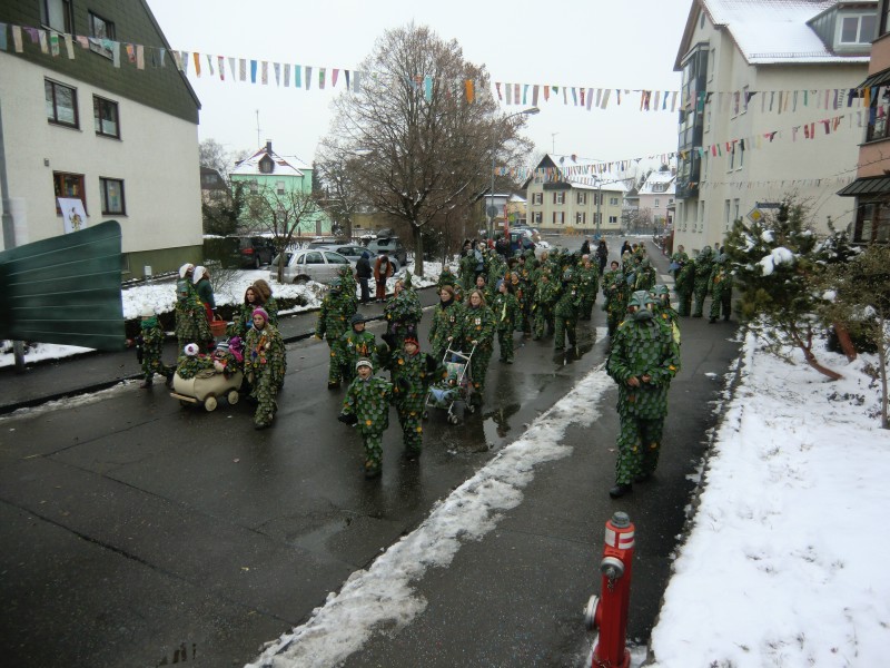 ../Images/2013-01-20_Narrentreffen-Froschen-Radolfzell_160.jpg