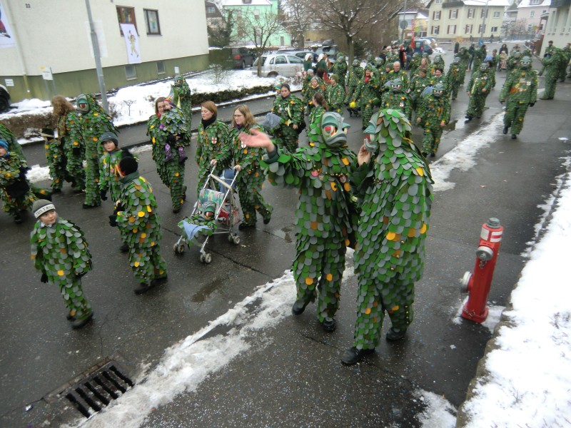 ../Images/2013-01-20_Narrentreffen-Froschen-Radolfzell_161.jpg