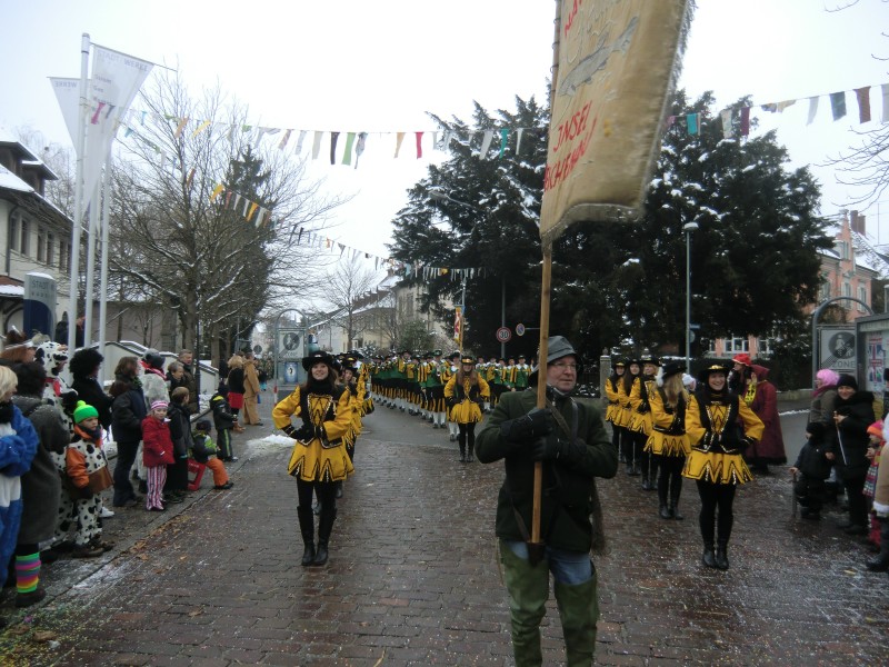 ../Images/2013-01-20_Narrentreffen-Froschen-Radolfzell_163.jpg