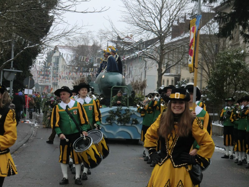 ../Images/2013-01-20_Narrentreffen-Froschen-Radolfzell_164.jpg