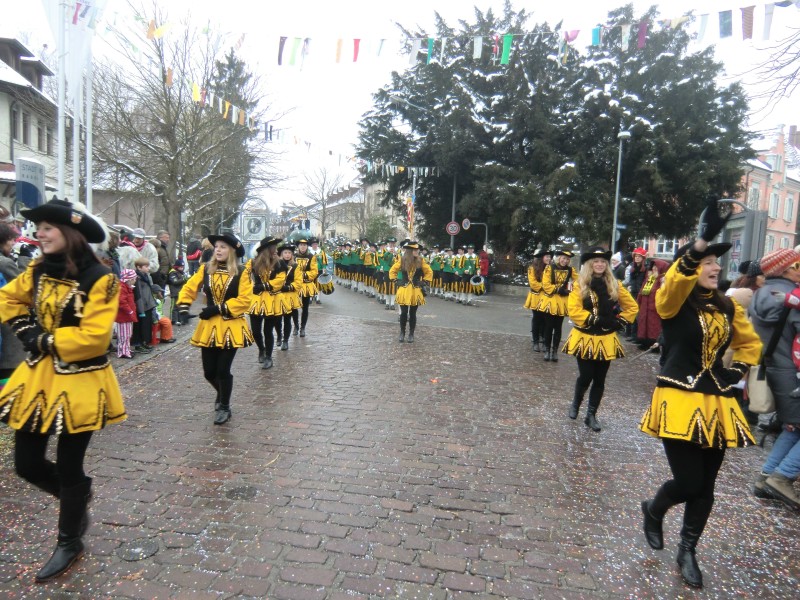 ../Images/2013-01-20_Narrentreffen-Froschen-Radolfzell_165.jpg