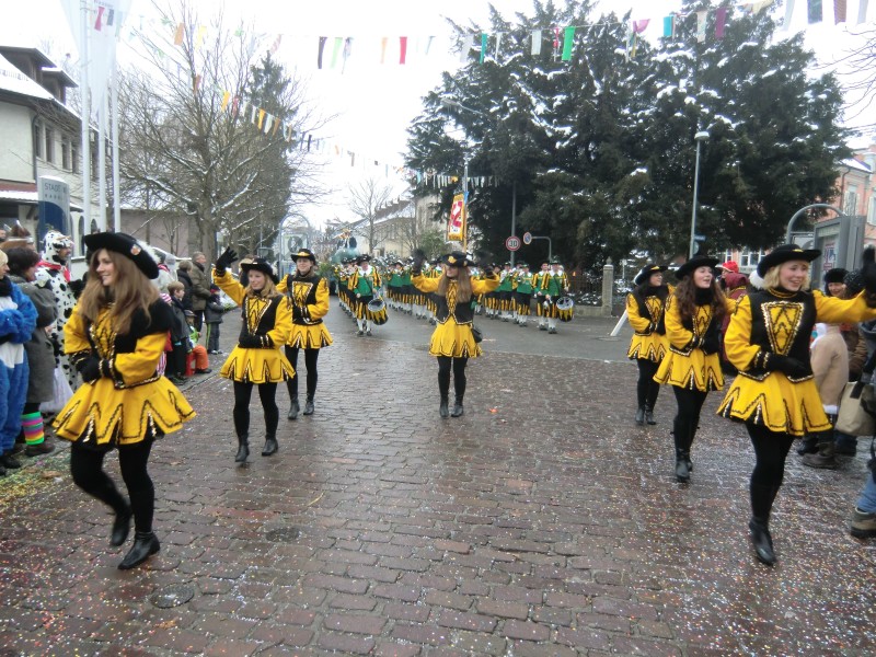 ../Images/2013-01-20_Narrentreffen-Froschen-Radolfzell_166.jpg
