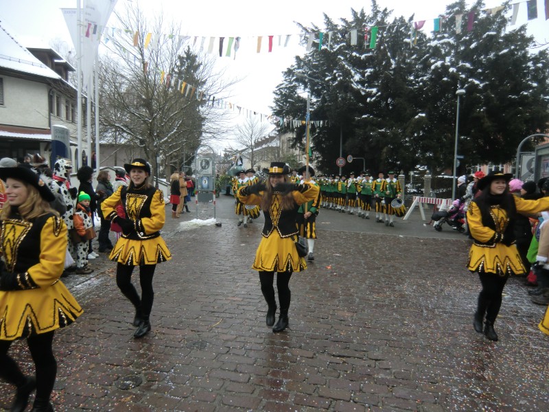../Images/2013-01-20_Narrentreffen-Froschen-Radolfzell_167.jpg