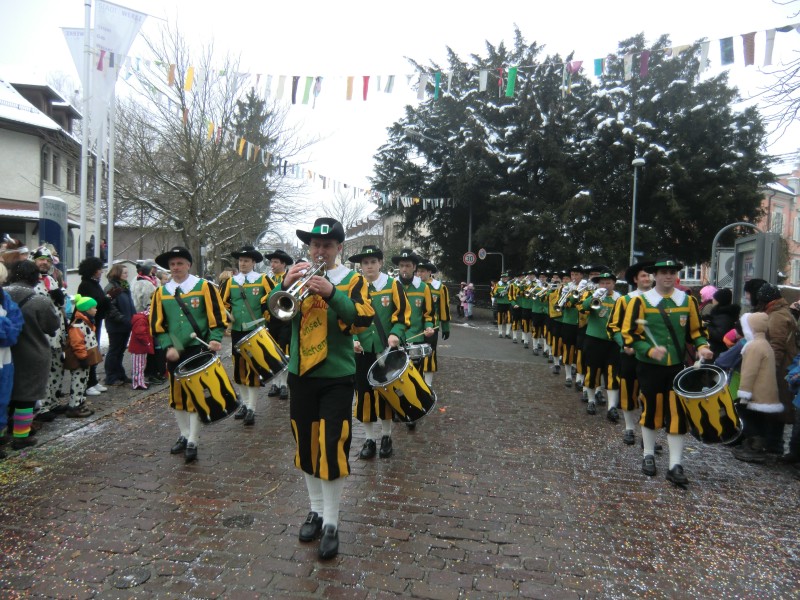 ../Images/2013-01-20_Narrentreffen-Froschen-Radolfzell_169.jpg