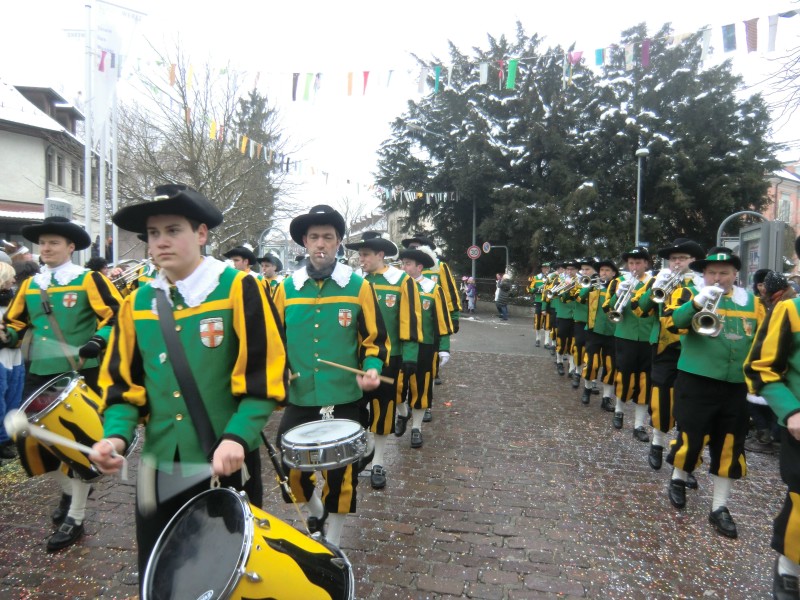 ../Images/2013-01-20_Narrentreffen-Froschen-Radolfzell_170.jpg