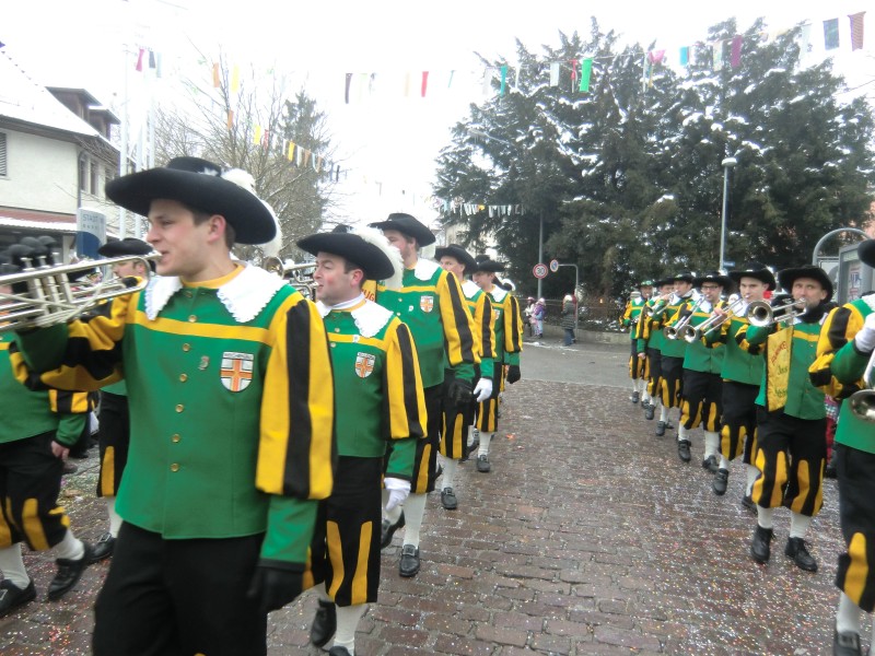 ../Images/2013-01-20_Narrentreffen-Froschen-Radolfzell_171.jpg