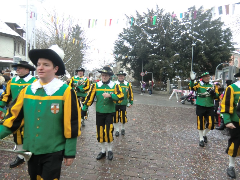 ../Images/2013-01-20_Narrentreffen-Froschen-Radolfzell_172.jpg