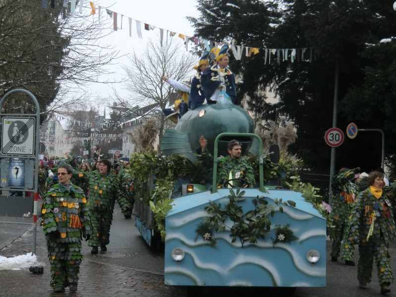../Images/2013-01-20_Narrentreffen-Froschen-Radolfzell_173.jpg