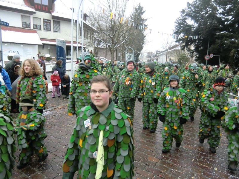 ../Images/2013-01-20_Narrentreffen-Froschen-Radolfzell_175.jpg