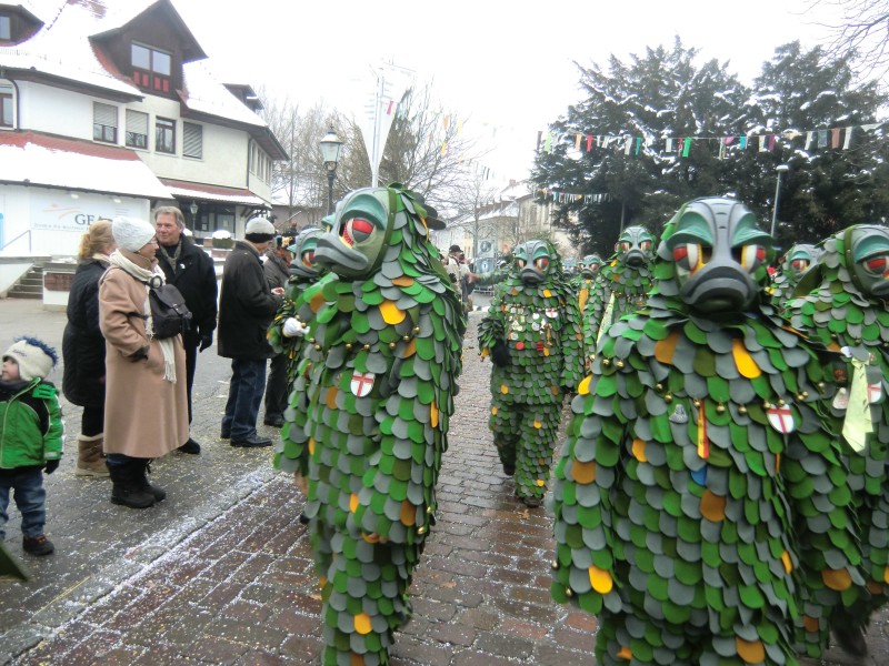 ../Images/2013-01-20_Narrentreffen-Froschen-Radolfzell_177.jpg