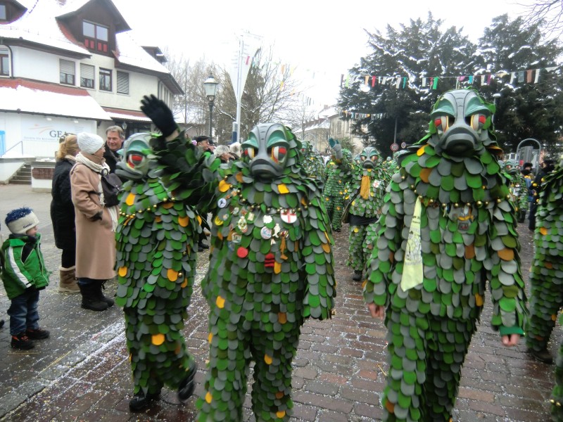 ../Images/2013-01-20_Narrentreffen-Froschen-Radolfzell_178.jpg