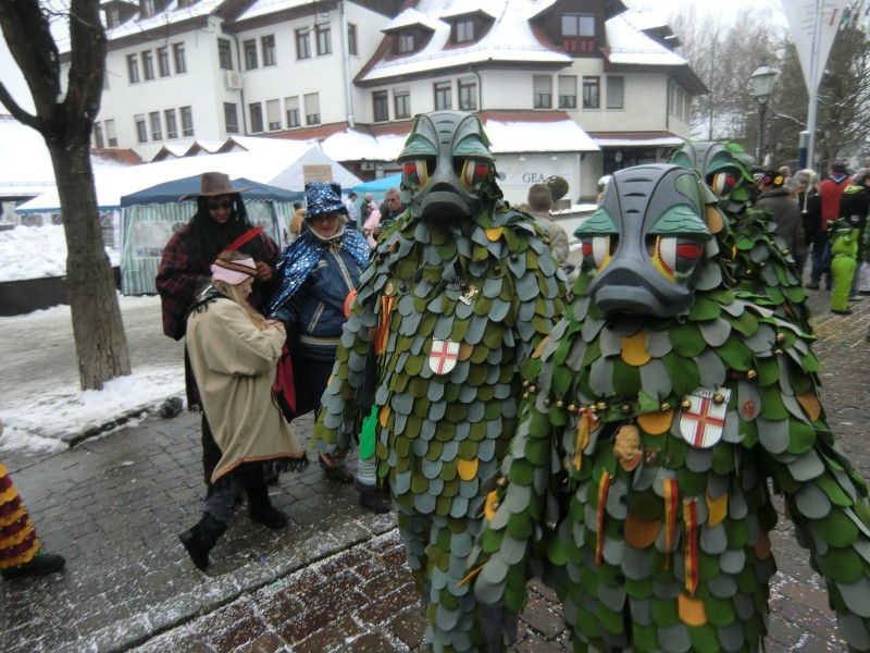 ../Images/2013-01-20_Narrentreffen-Froschen-Radolfzell_180.jpg