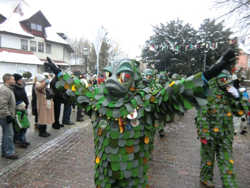 ../Images/2013-01-20_Narrentreffen-Froschen-Radolfzell_181.jpg