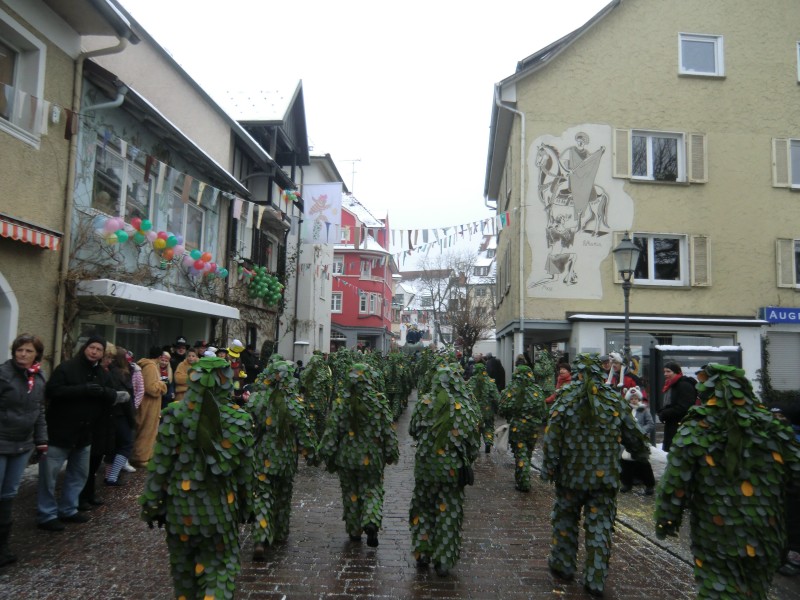 ../Images/2013-01-20_Narrentreffen-Froschen-Radolfzell_183.jpg