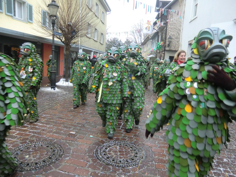 ../Images/2013-01-20_Narrentreffen-Froschen-Radolfzell_188.jpg